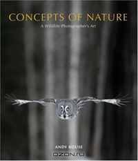 Concepts of Nature: A Wildlife Photographer