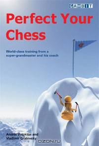 Perfect Your Chess