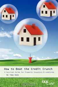 How to Beat the Credit Crunch: A Survival Guide for Property Investors & Landlords