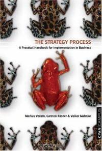 The Strategy Process : A Practical Handbook for Implementation in Business