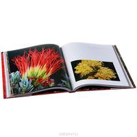Wildflower Country: Discovering Biodiversity in Australia