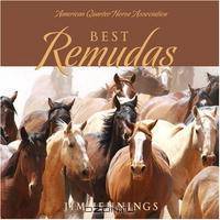 Best Remudas