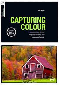 Basics Photography: Capturing Colour