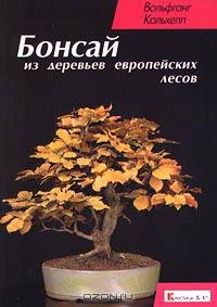 Бонсай из деревьев европейских лесов