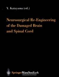 Neurosurgical Re-engineering of the Damaged Brain and Spinal Cord