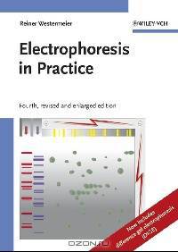 Electrophoresis in Practice: A Guide to Methods and Applications of DNA and Protein Separations, 4th, Revised and Updated Edition
