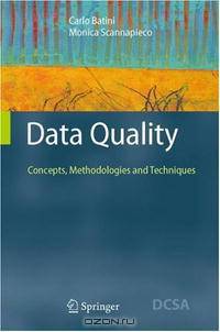 Data Quality: Concepts, Methodologies and Techniques (Data-Centric Systems and Applications)