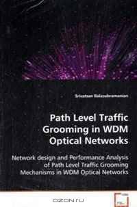 Path Level Traffic Grooming in WDM Optical Networks