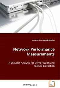 Network Performance Measurements: A Wavelet Analysis for Compression and Feature Extraction