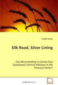 Silk Road, Silver Lining: Can Micro-lending in Central Asia Counteract Criminal Influence in the Financial Sector?
