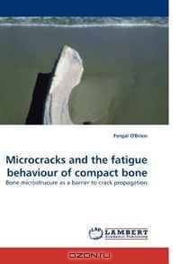 Microcracks and the fatigue behaviour of compact bone: Bone microstrucure as a barrier to crack propagation