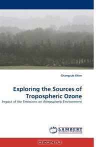 Exploring the Sources of Tropospheric Ozone