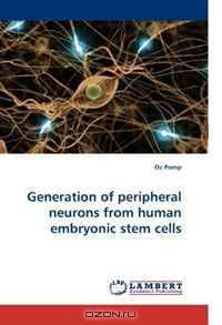 Generation of peripheral neurons from human embryonic stem cells