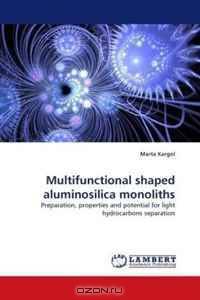 Multifunctional shaped aluminosilica monoliths: Preparation, properties and potential for light hydrocarbons separation