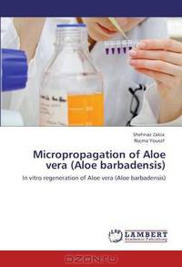 Micropropagation of Aloe vera (Aloe barbadensis)