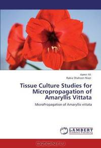 Tissue Culture Studies for Micropropagation of Amaryllis Vittata