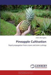 Pineapple Cultivation: Rapid propagation from crown and stem cuttings