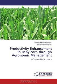 Productivity Enhancement in Baby corn through Agronomic Management: A Sustainable Approach