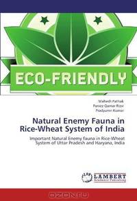 Natural Enemy Fauna in Rice-Wheat System of India: Important Natural Enemy fauna in Rice-Wheat System of Uttar Pradesh and Haryana, India