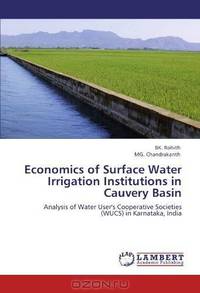 Economics of Surface Water Irrigation Institutions in Cauvery Basin: Analysis of Water User