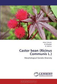 Castor bean (Ricinus Communis L.): Morphological Genetic Diversity