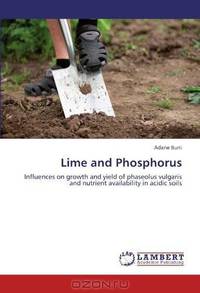 Lime and Phosphorus: Influences on growth and yield of phaseolus vulgaris and nutrient availability in acidic soils