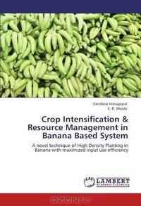 Crop Intensification & Resource Management in Banana Based System: A novel technique of High Density Planting in Banana with maximized input use efficiency
