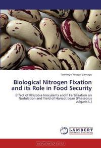 Biological Nitrogen Fixation and its Role in Food Security: Effect of Rhizobia Inoculants and P Fertilization on Nodulation and Yield of Haricot bean (Phaseolus vulgaris L.)