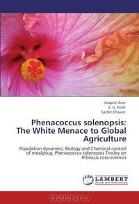 Phenacoccus solenopsis: The White Menace to Global Agriculture: Population dynamics, Biology and Chemical control of mealybug, Phenacoccus solenopsis Tinsley on Hibiscus rosa-sinensis