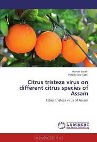 Citrus tristeza virus on different citrus species of Assam: Citrus tristeza virus of Assam