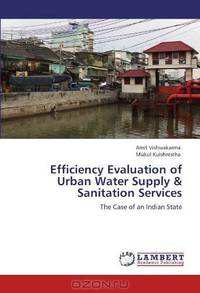 Efficiency Evaluation of Urban Water Supply & Sanitation Services: The Case of an Indian State