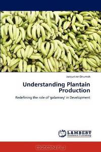 Understanding Plantain Production: Redefining the role of 