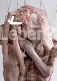 Leben, Life