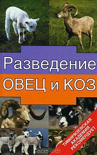 Разведение овец и коз