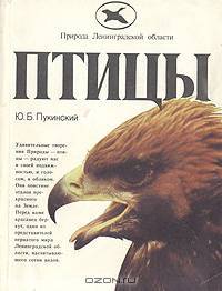 Птицы