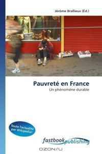 Pauvrete en France: Un phenomene durable (French Edition)