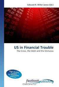 US in Financial Trouble: The Crisis, the Debt and the Stimulus