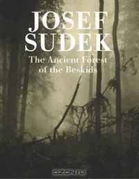 Josef Sudek: Ancient Forest of the Beskids