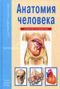 Анатомия человека. Школьный путеводитель