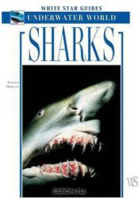 Sharks: White Star Guides Underwater World