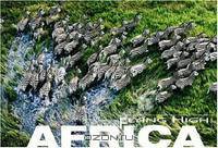 AFRICA: Flying High