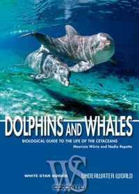 Dolphins and Whales: Revised and Updated (White Star Guides)