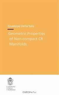 Geometric properties of non-compact CR manifolds (Publications of the Scuola Normale Superiore / Theses (Scuola Normale Superiore))