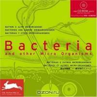 Bacteria and Other Micro Organisms