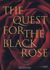 The Quest for the Black Rose
