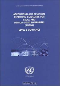 Accounting And Financial Reporting Guidelines For Small And Medium-sized Enterprises (smega)