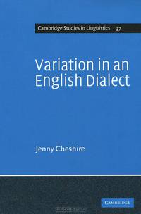 Variation in an English Dialect: A Sociolinguistic Study