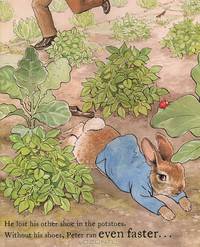 The Tale of a Naughty Little Rabbit