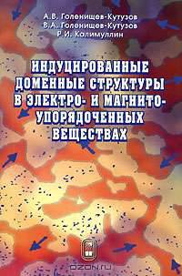 Индуцированные доменные структуры в электро- и магнитноупорядоченных веществах
