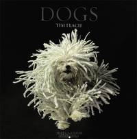 Календарь 2012 (на скрепке). Dogs
